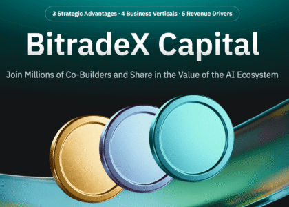 bitradex capital